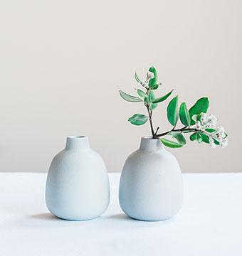 Minimalistische Vasen mit Grün